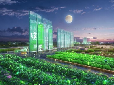 引领绿色农业新纪元，大地赤有机科技开发公司引领绿色农业新时代
